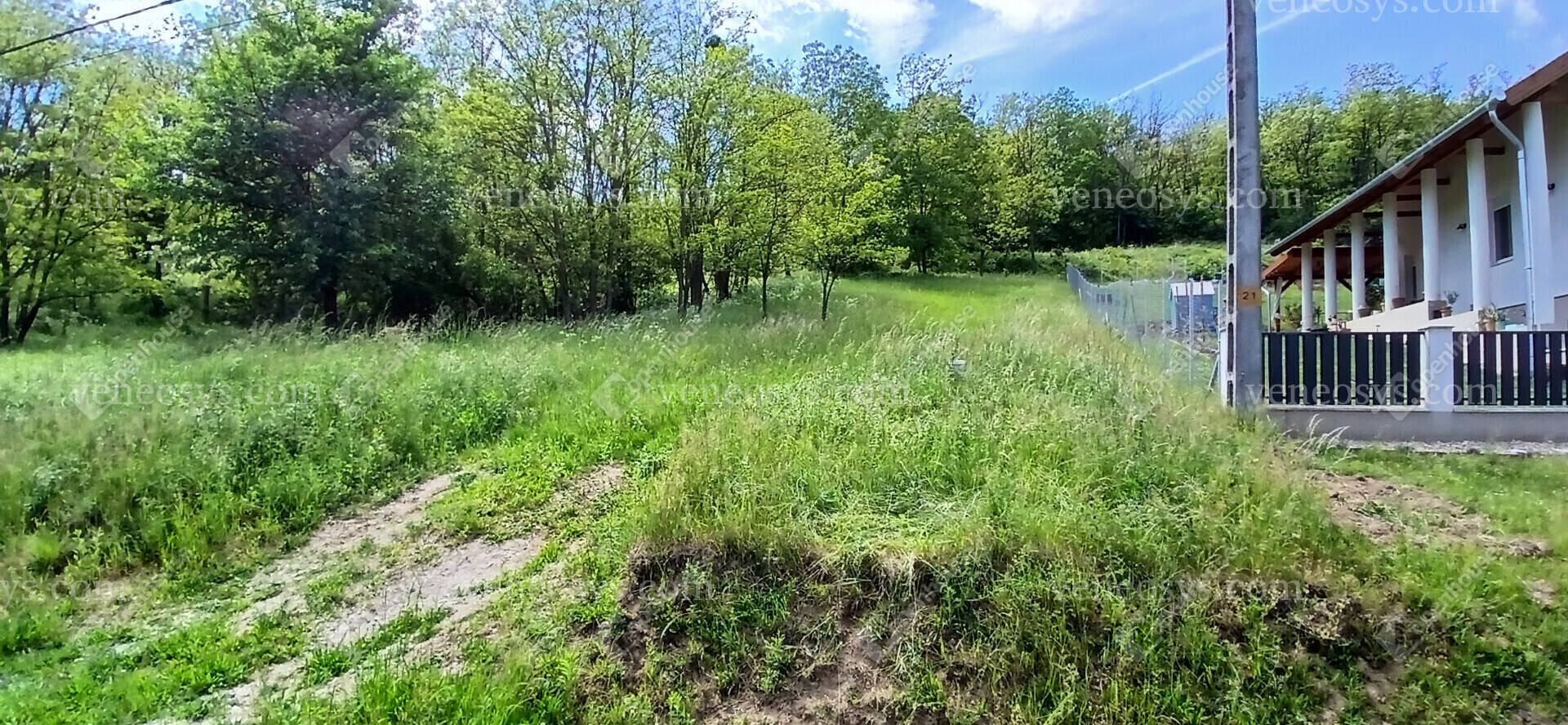 Kép 10