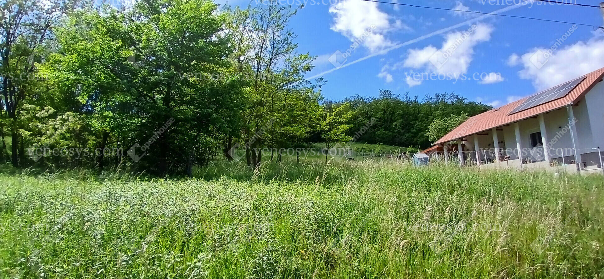 Kép 9
