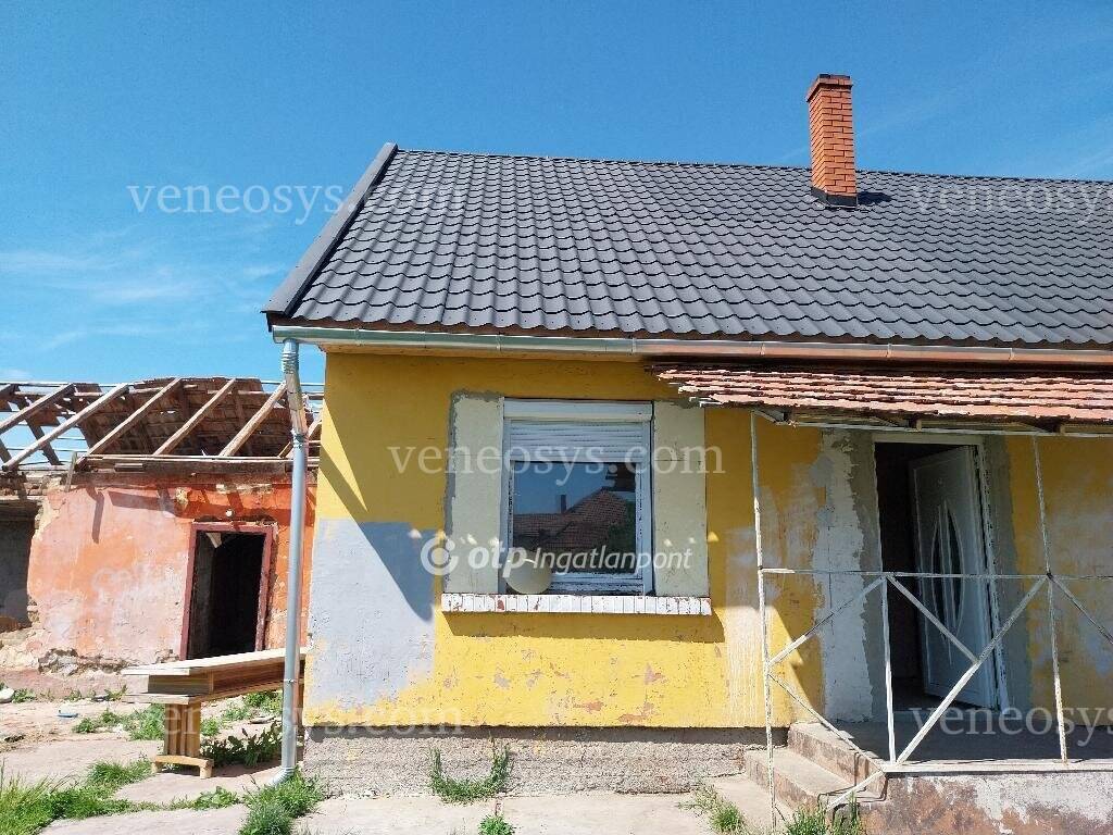 Kép 5