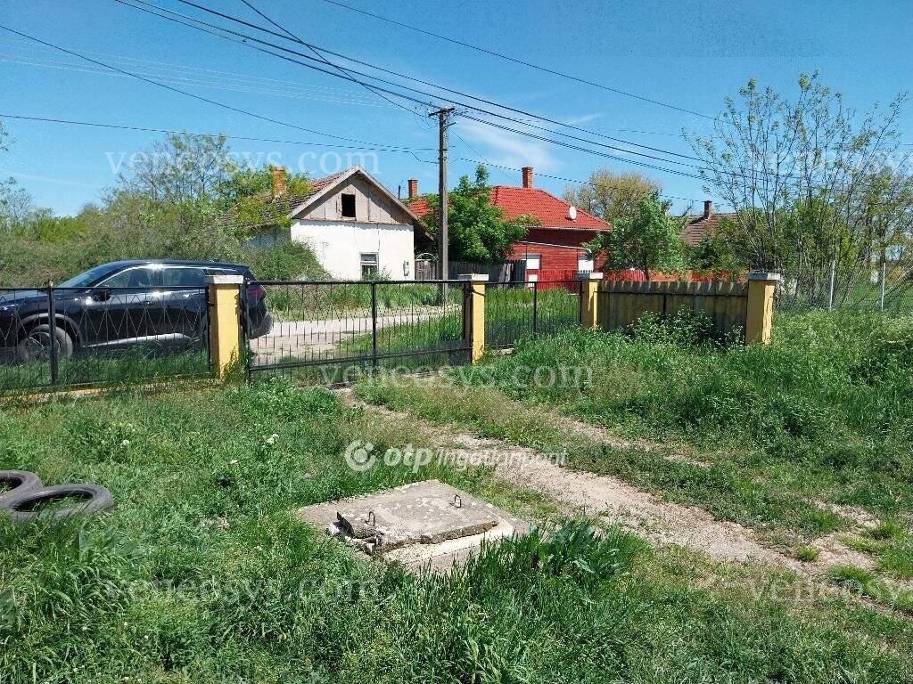 Kép 10