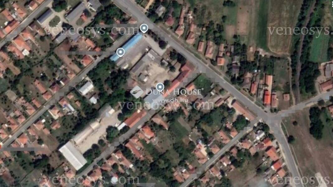 Polgár