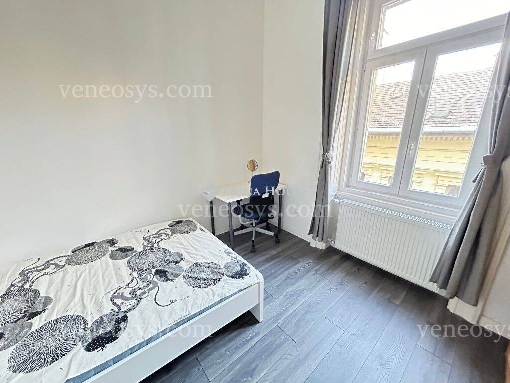 Kép 5
