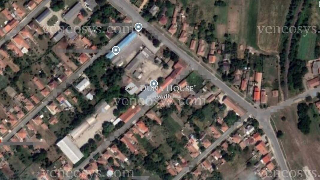 Polgár