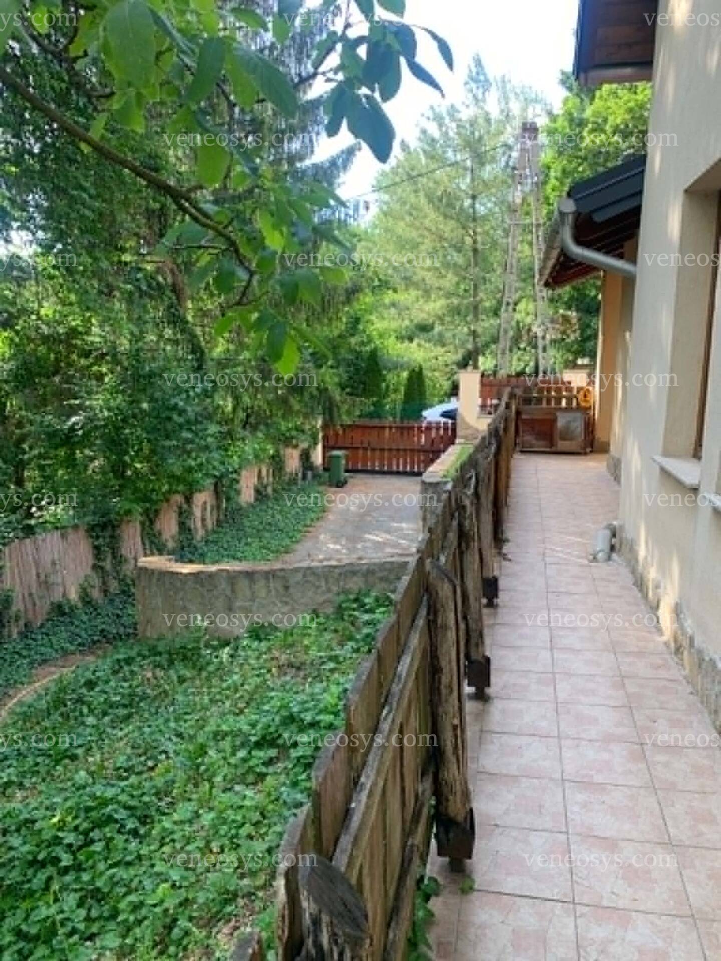 Kép 10
