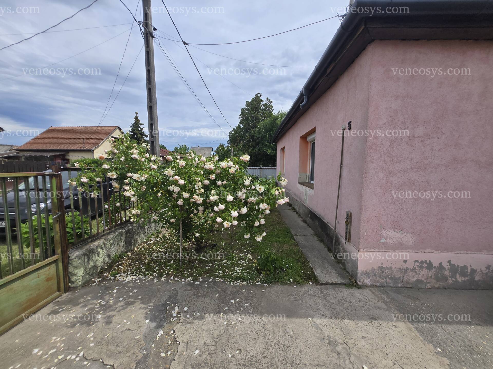 Kép 18