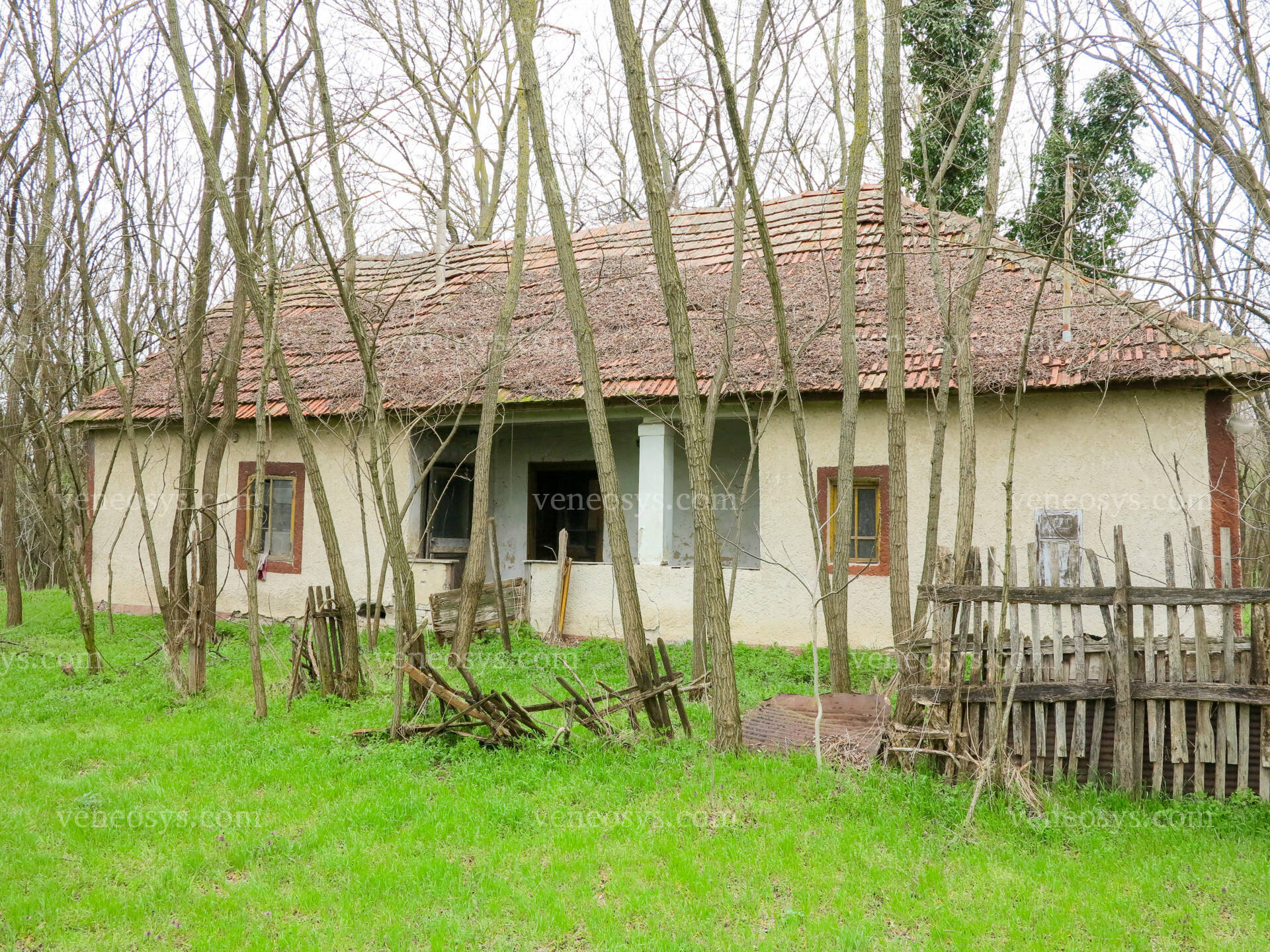 Kép 3