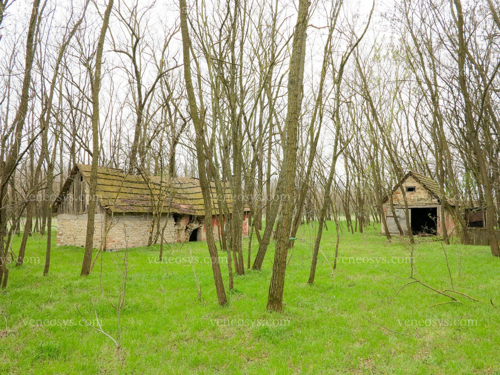 Kép 4