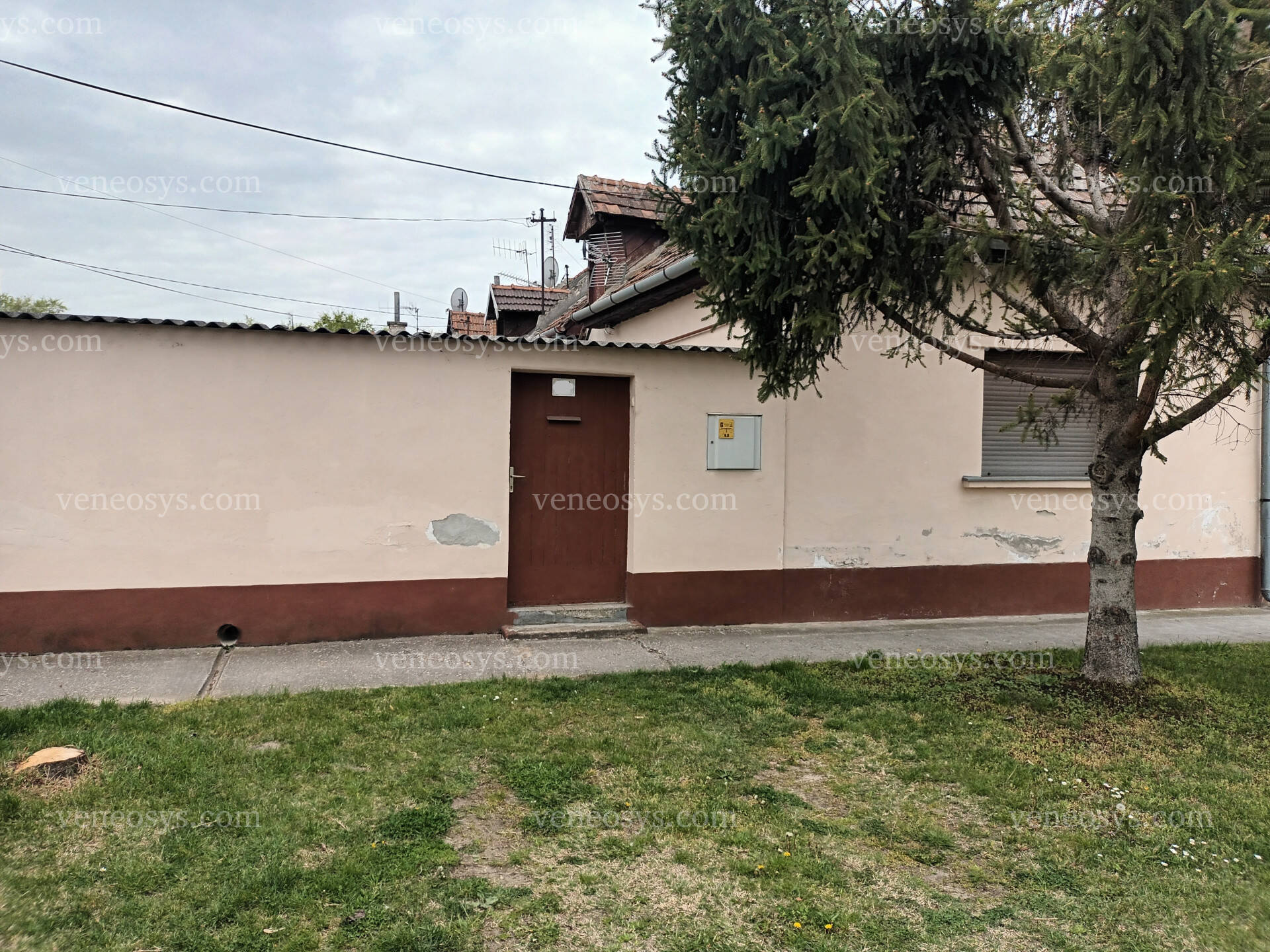 Kép 11