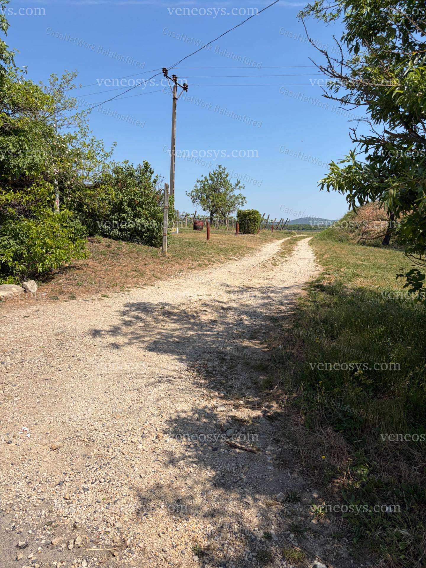 Kép 12