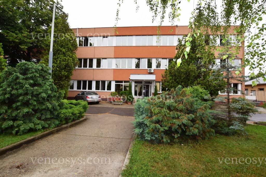 Kép 10