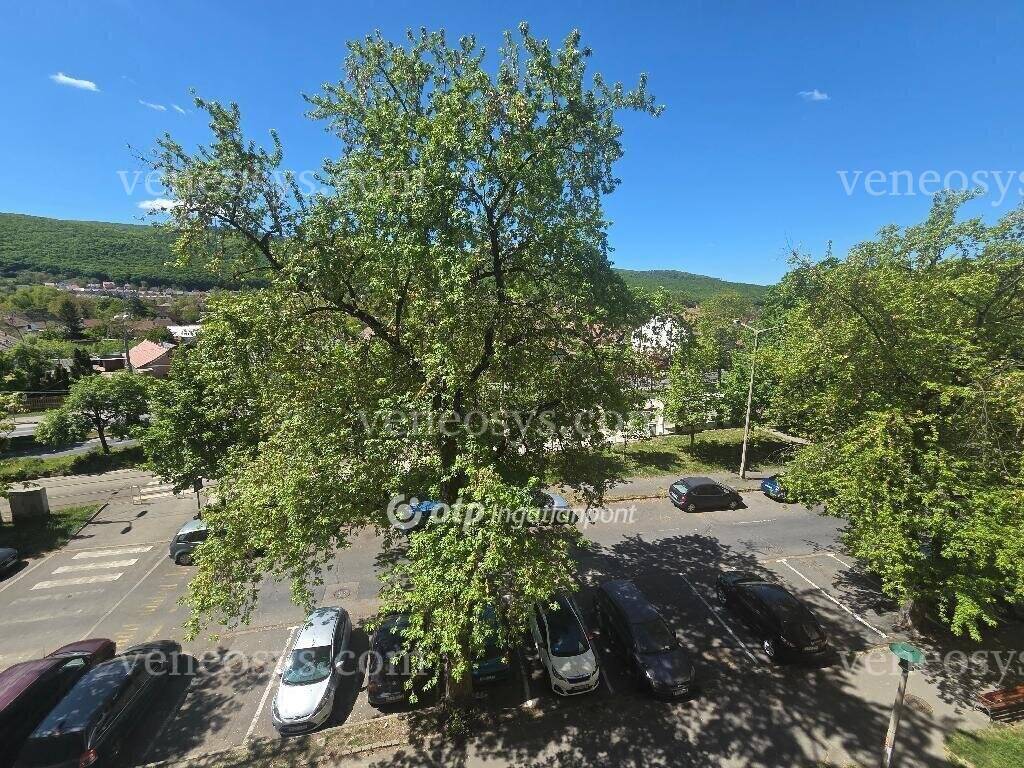Kép 18