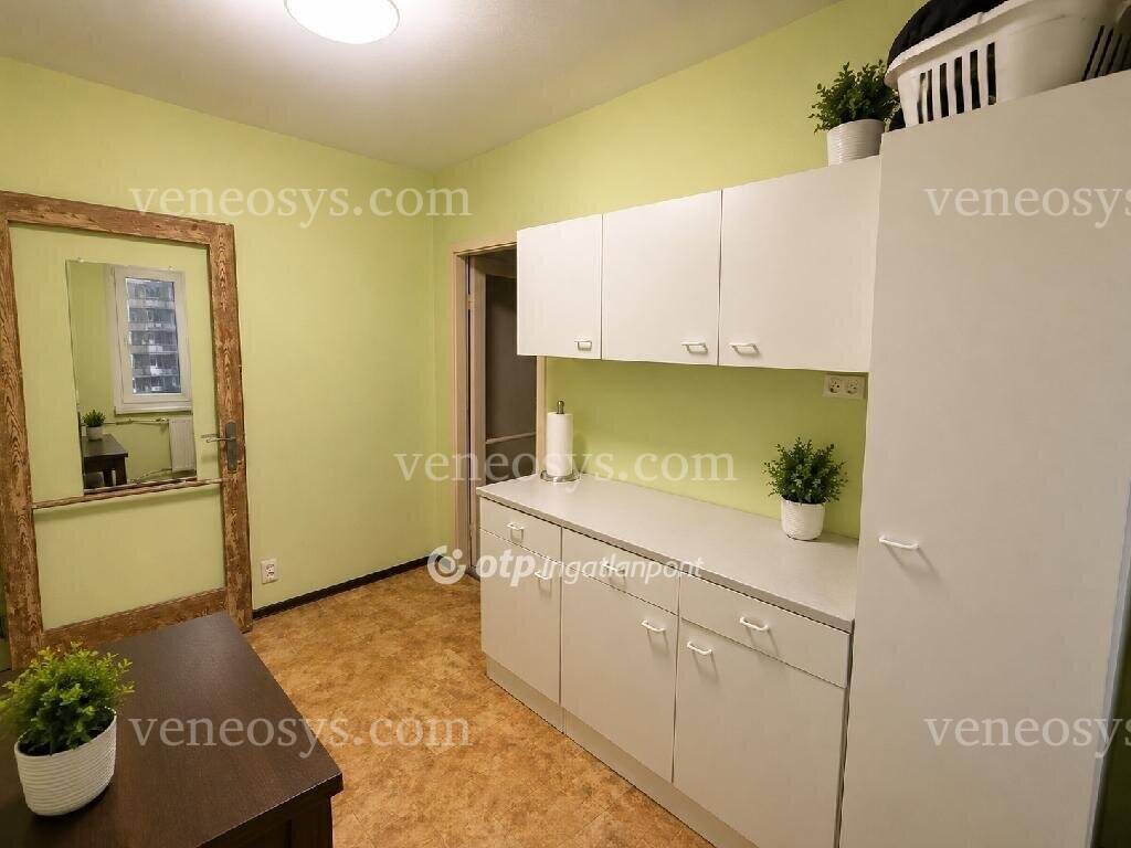 Kép 8