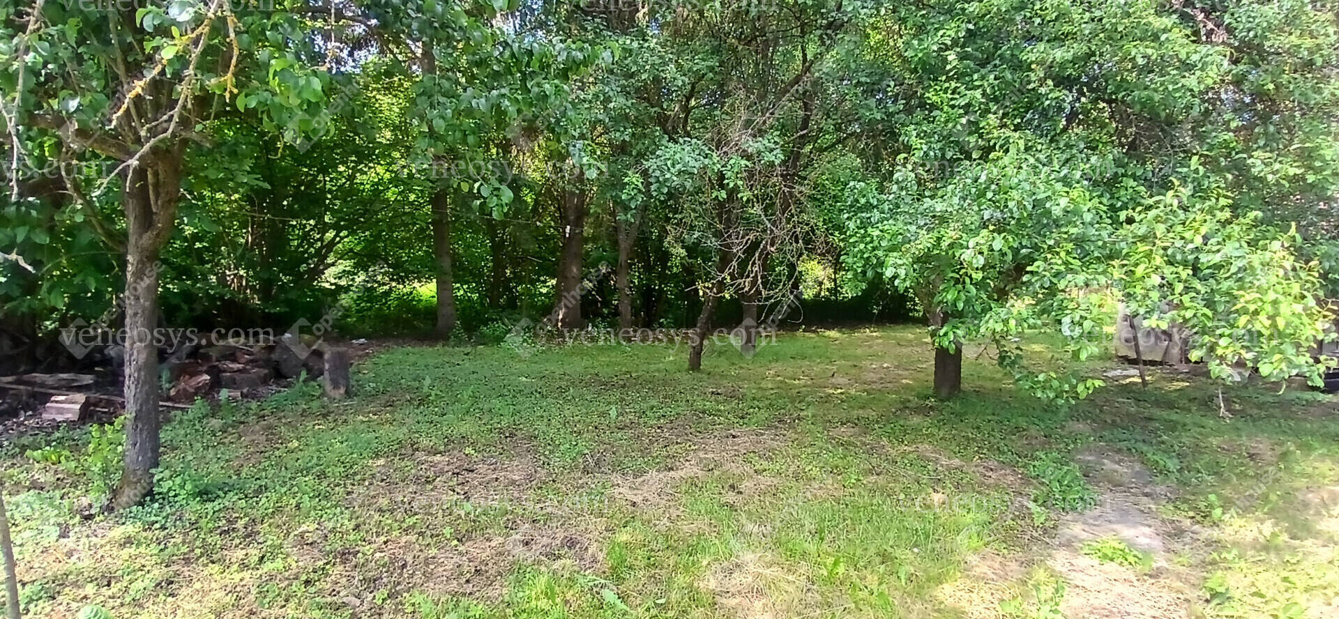 Kép 5