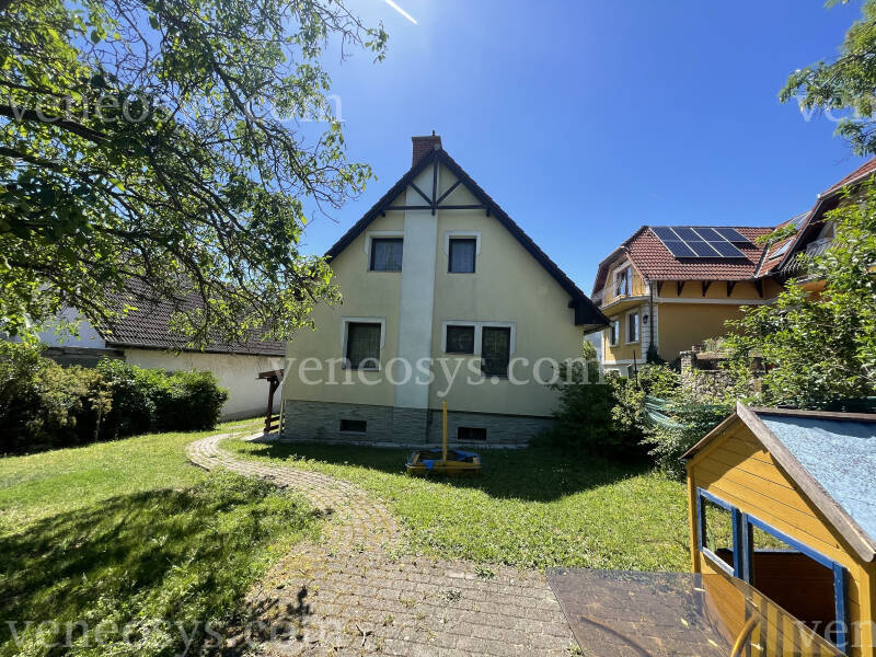 Kép 7