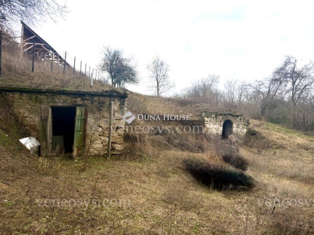 Mány