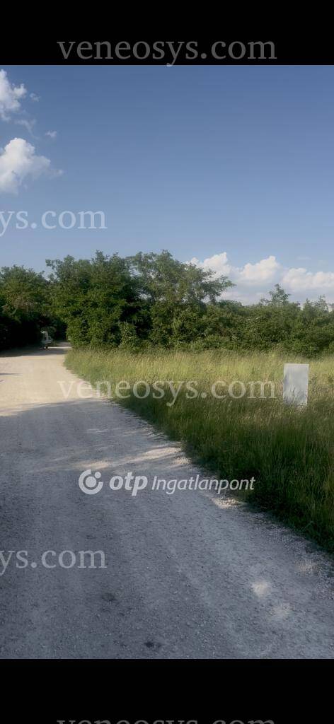 Bőny