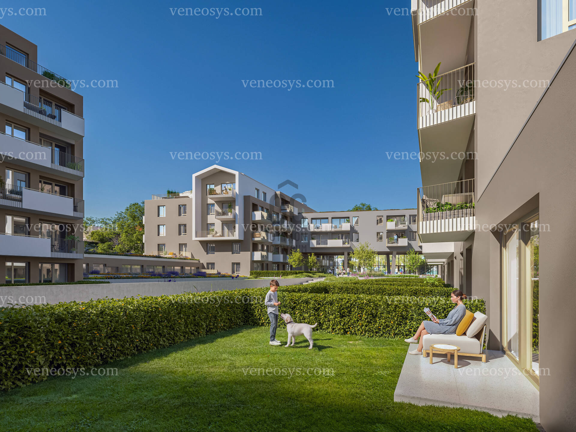 Kép 4