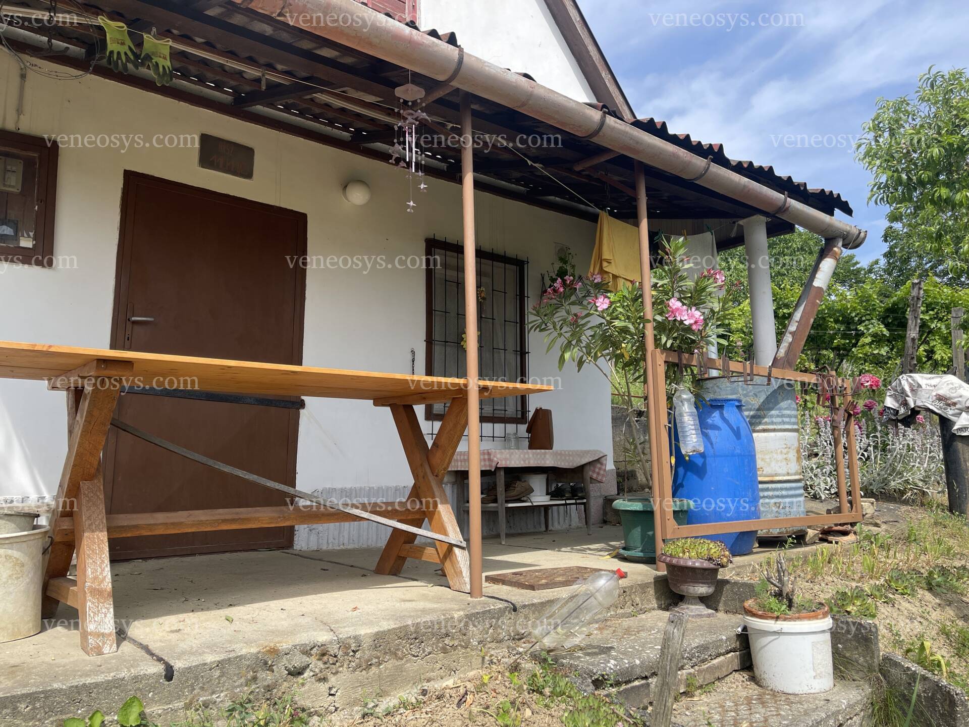 Kép 8