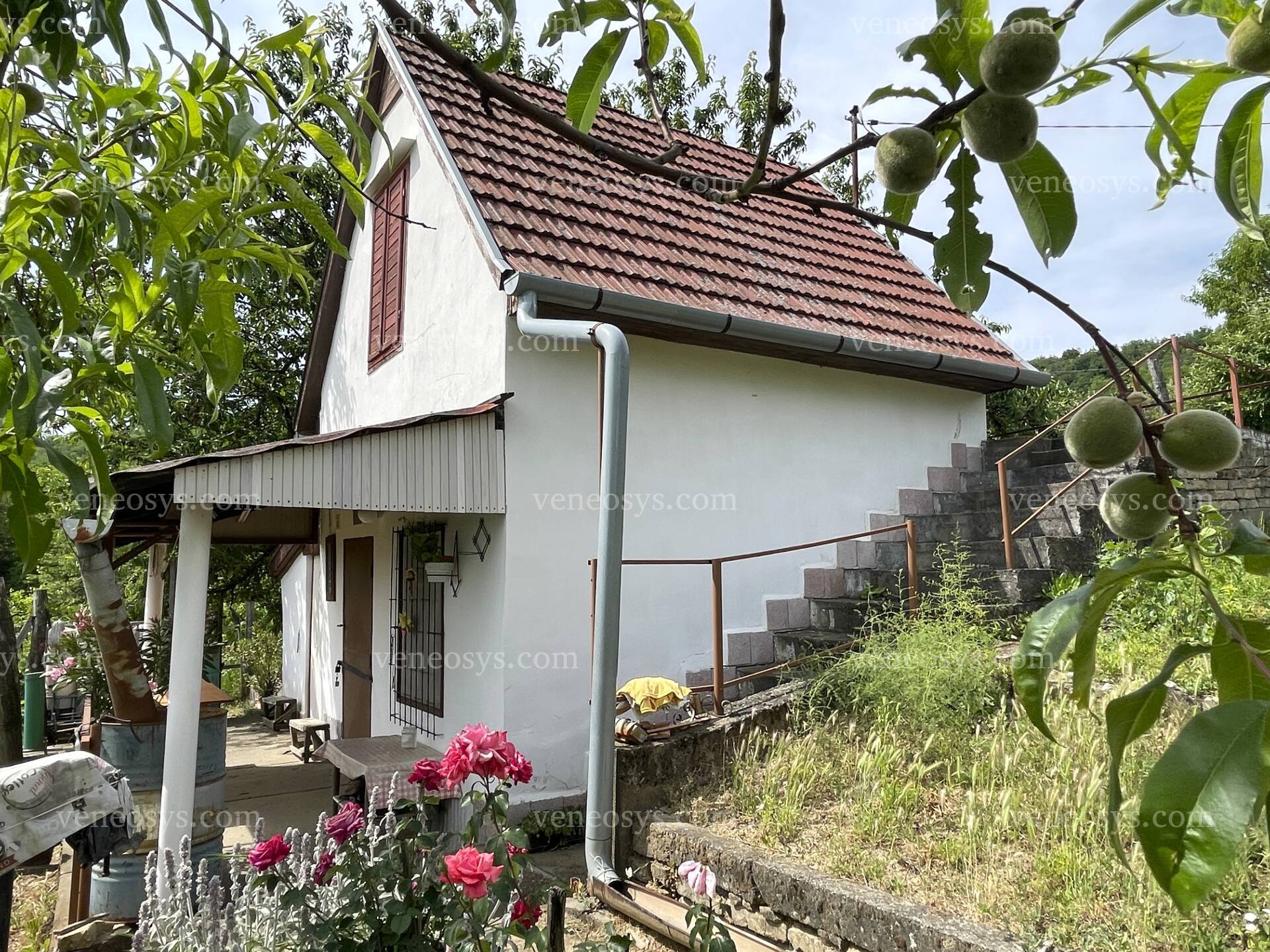 Kép 3