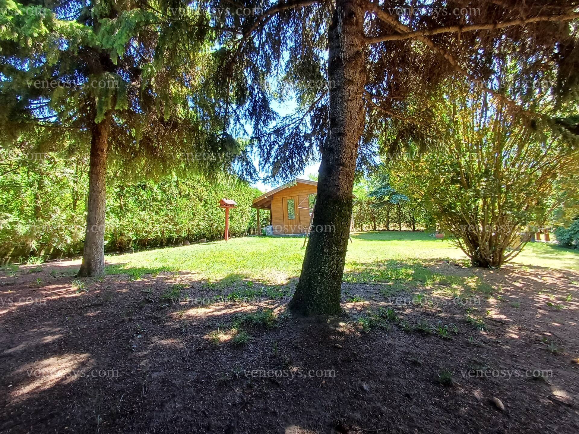 Kép 10
