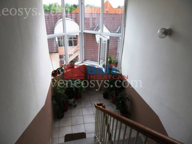 Kép 15