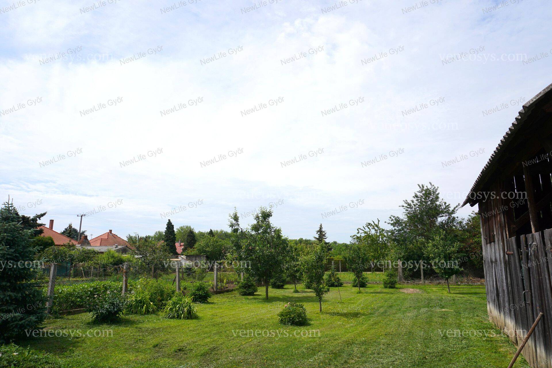 Kép 14