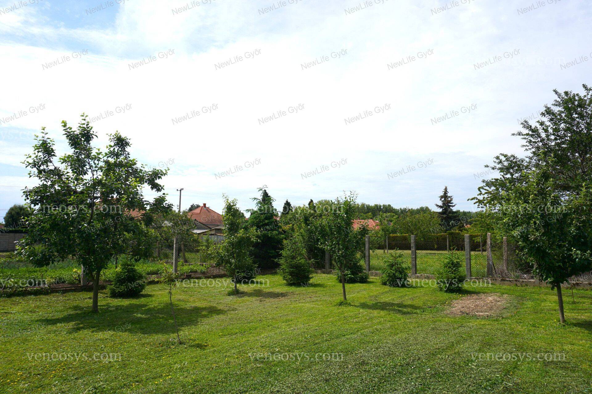 Kép 15