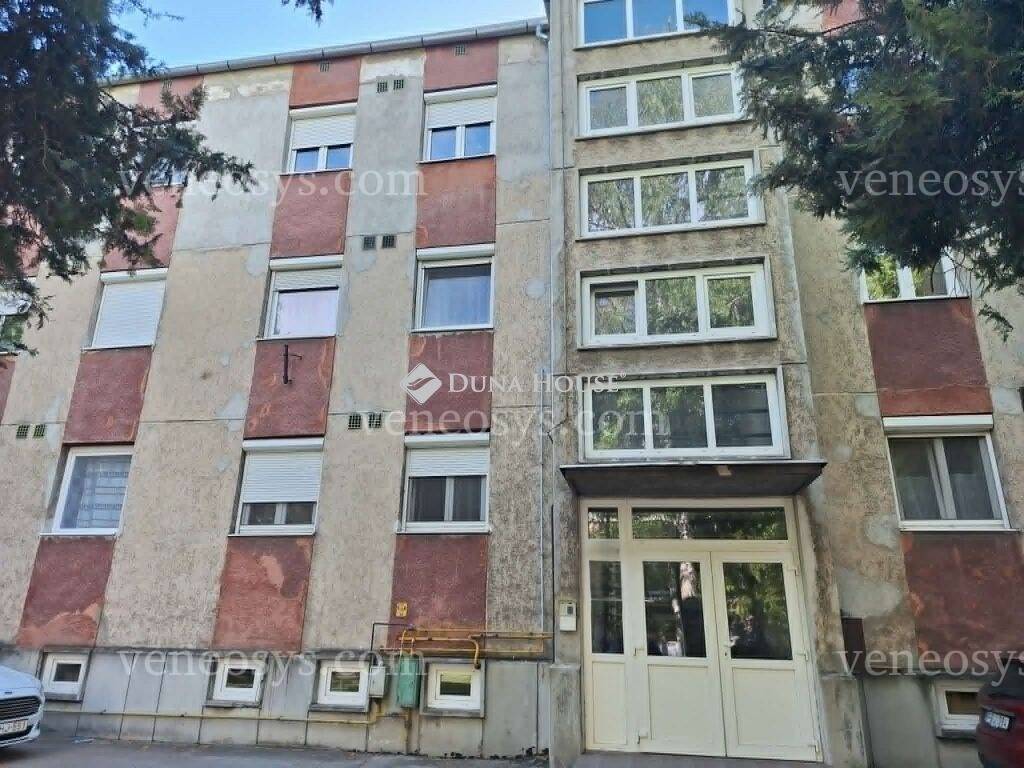 Kép 7