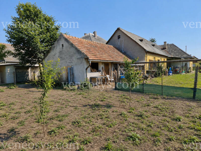 Kép 4