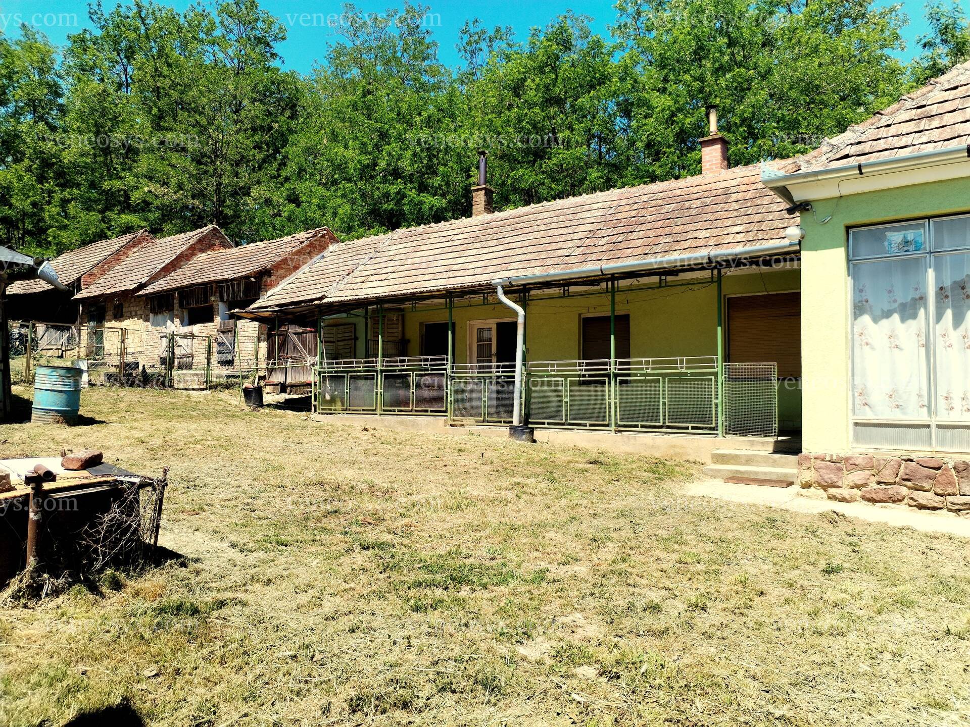 Kép 15