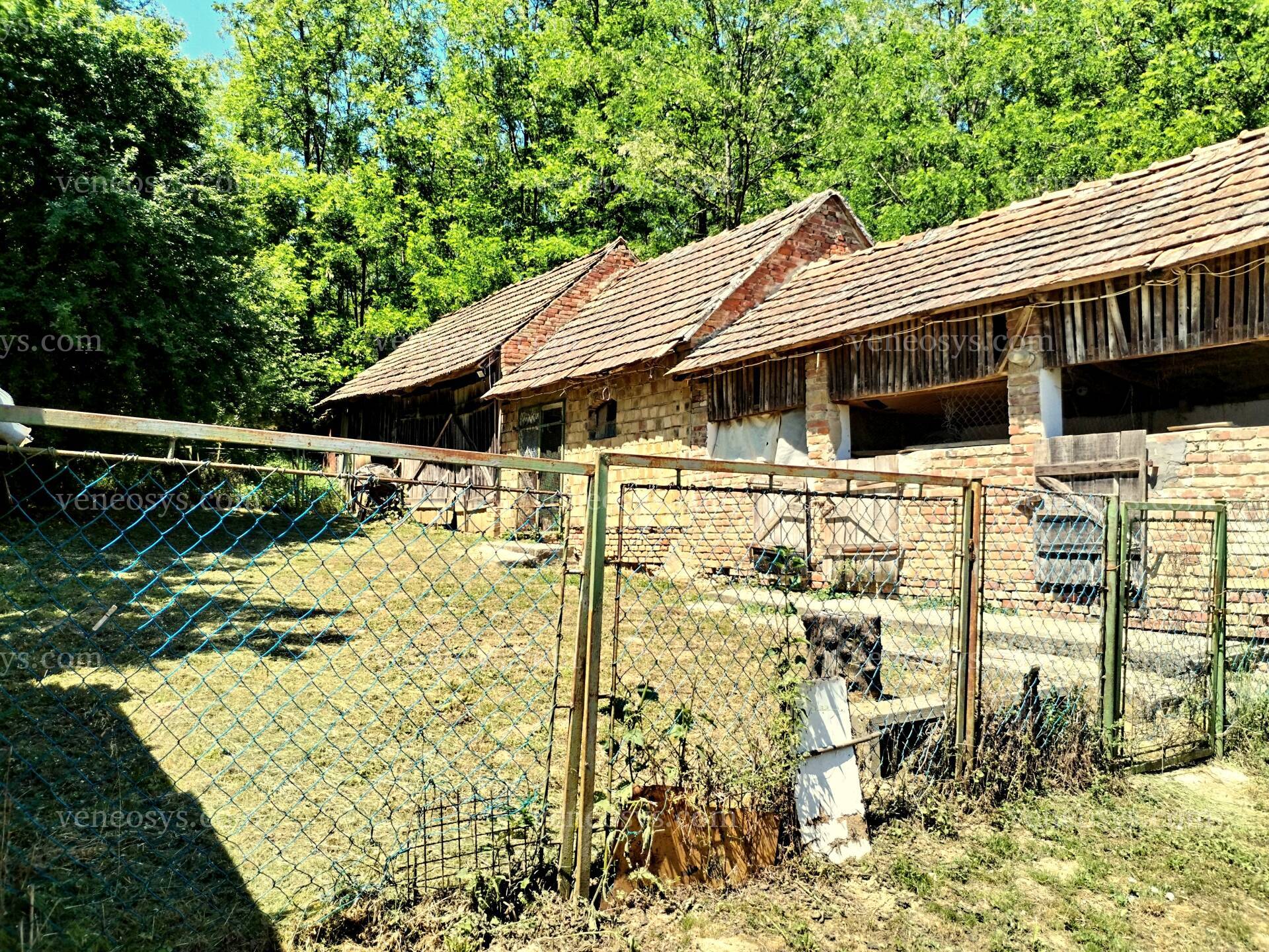 Kép 18