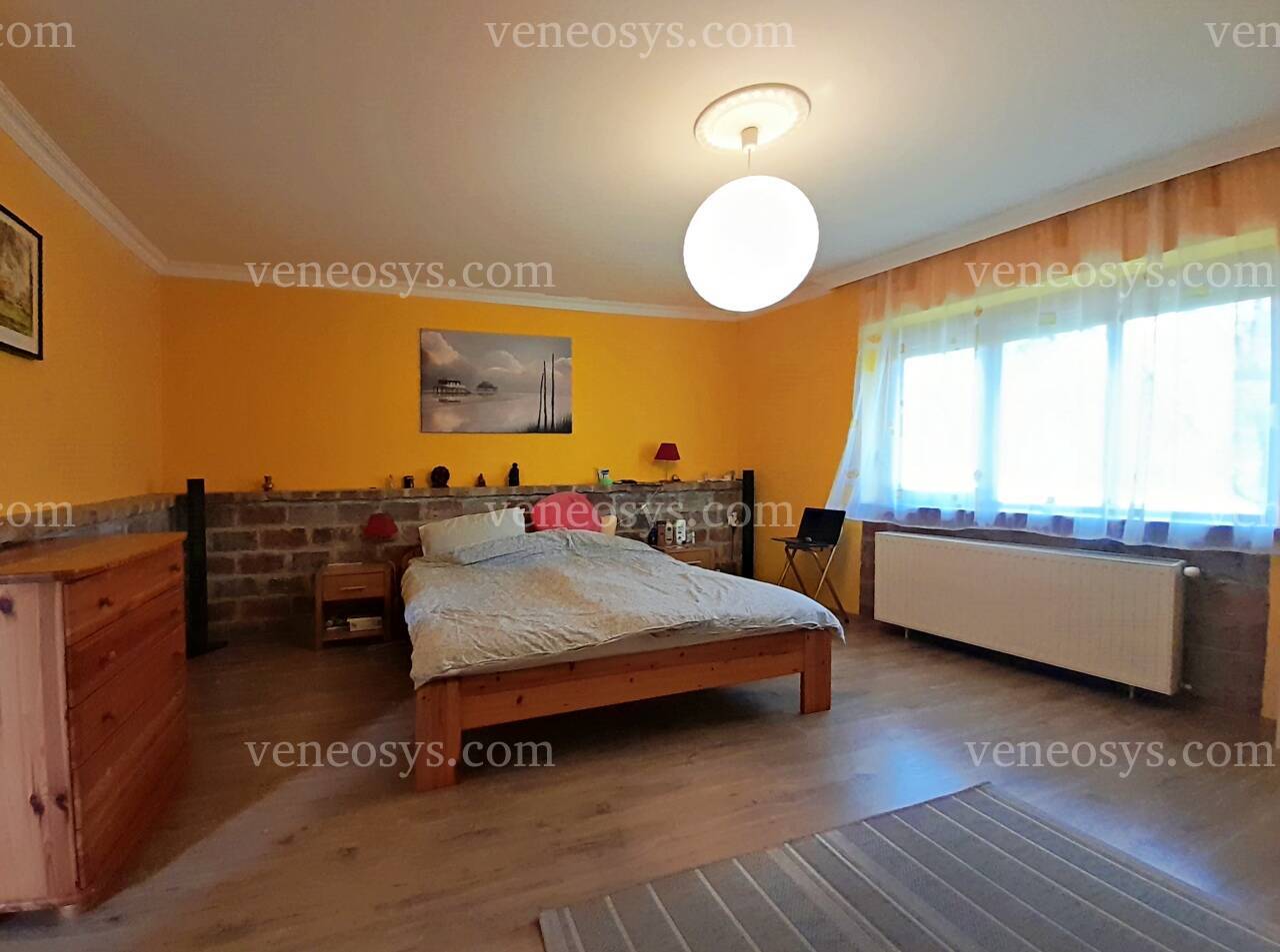 Kép 6