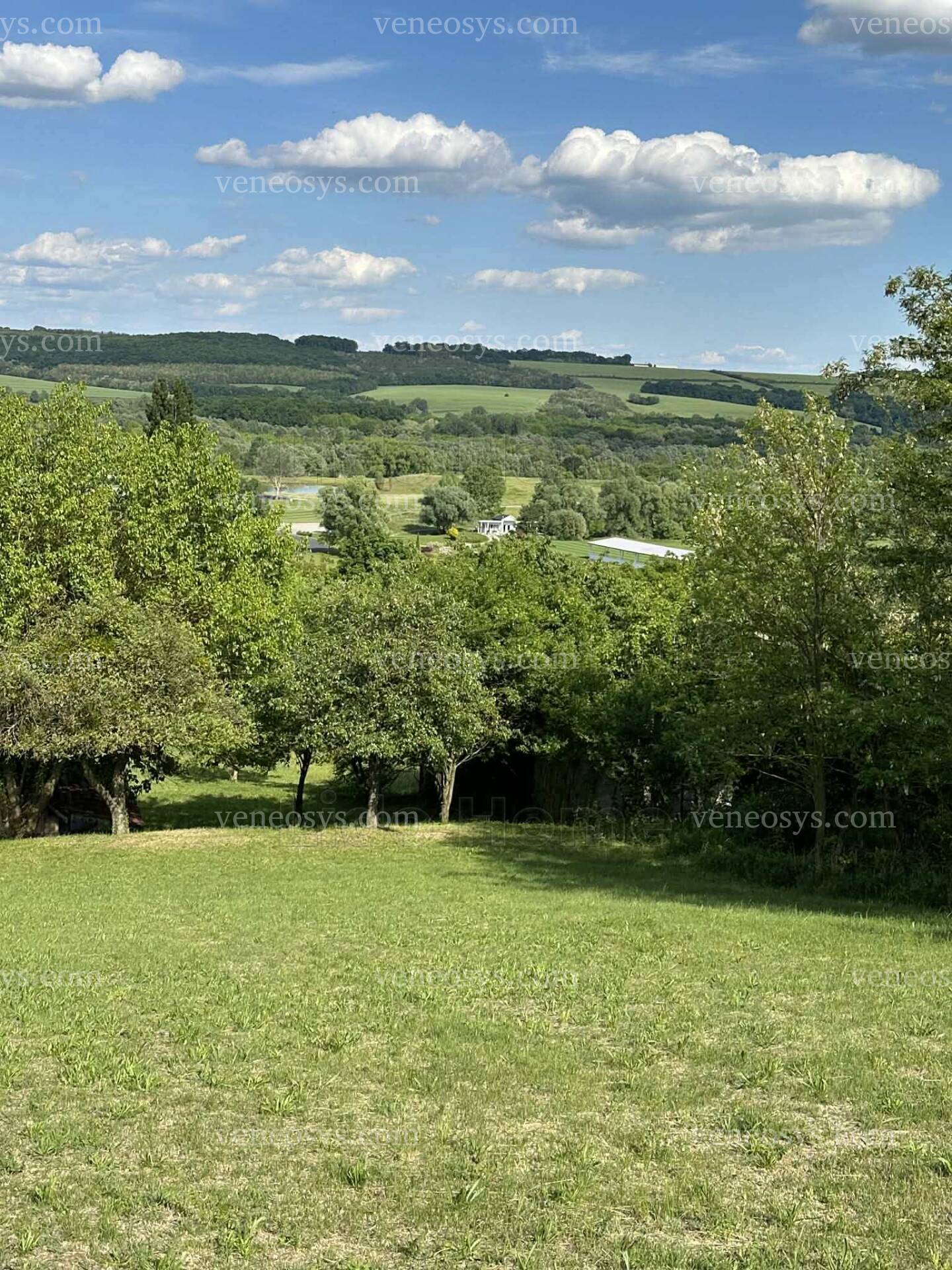 Kép 1
