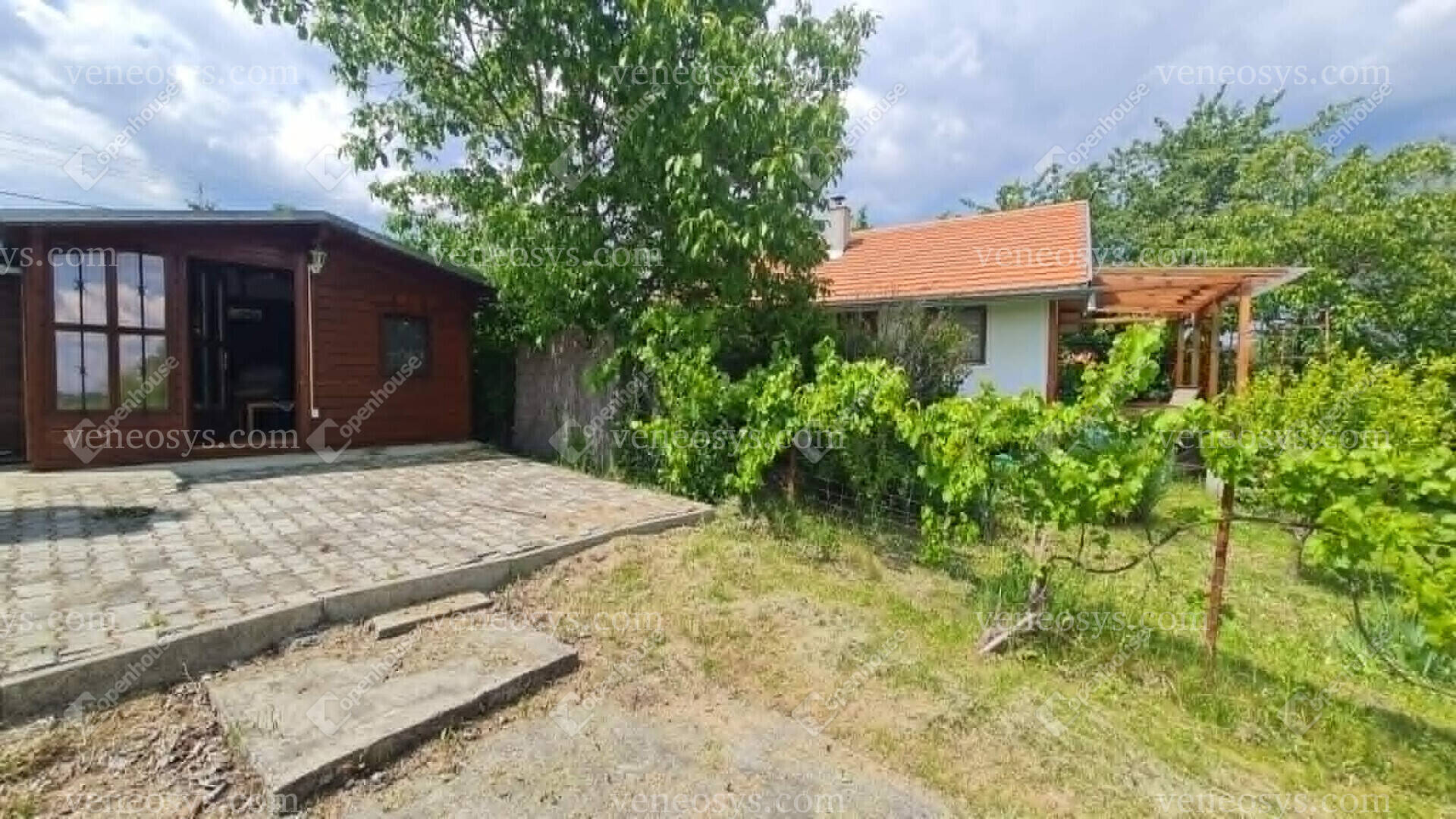 Kép 7