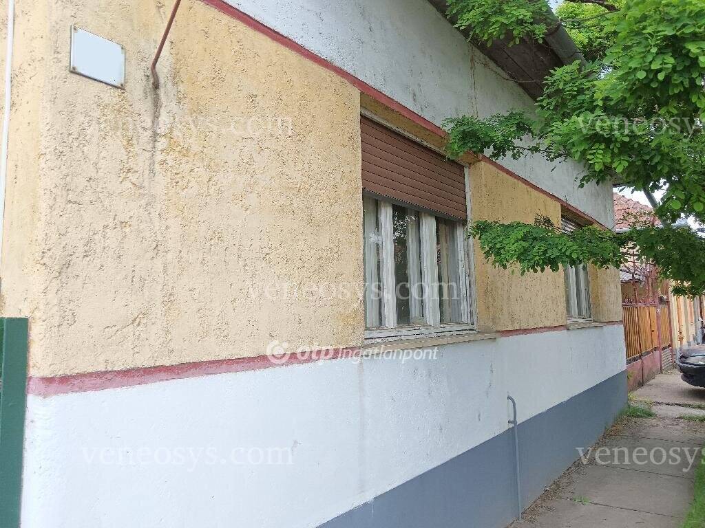 Kép 4