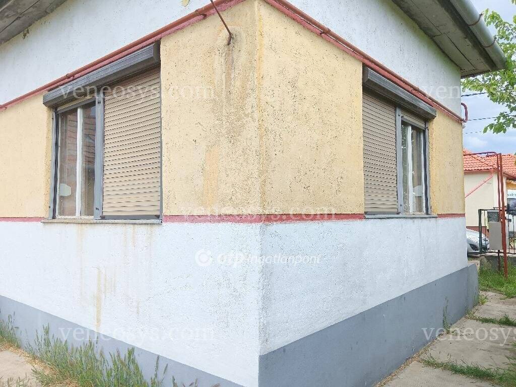 Kép 11