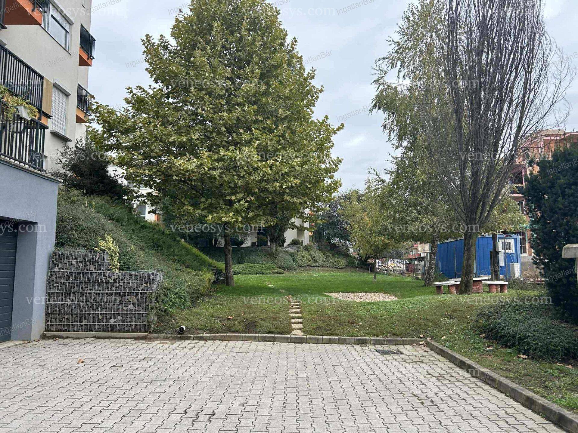 Kép 11