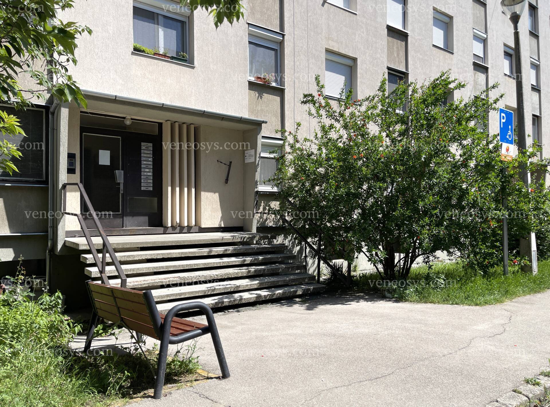 Kép 3