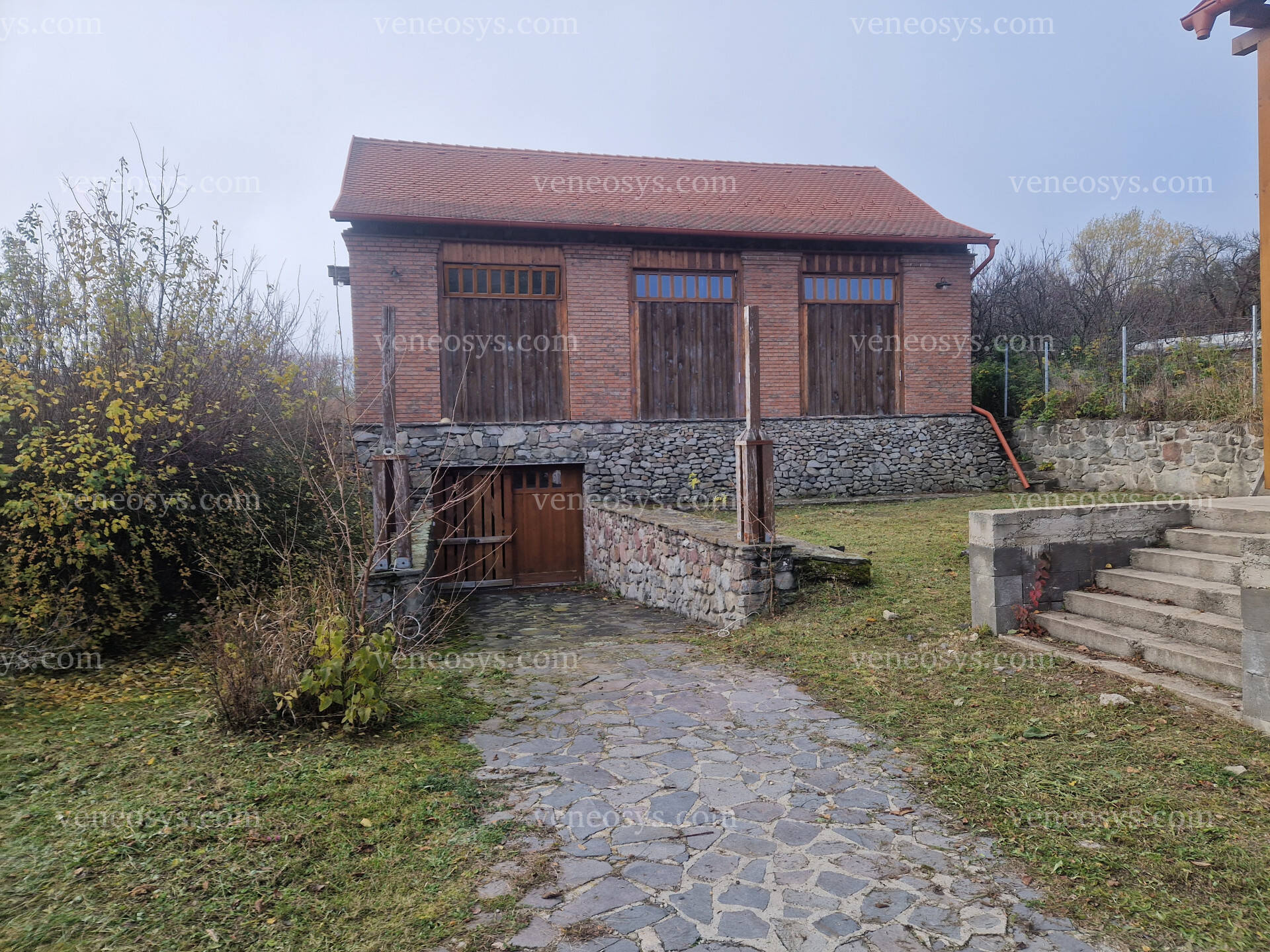 Kép 11