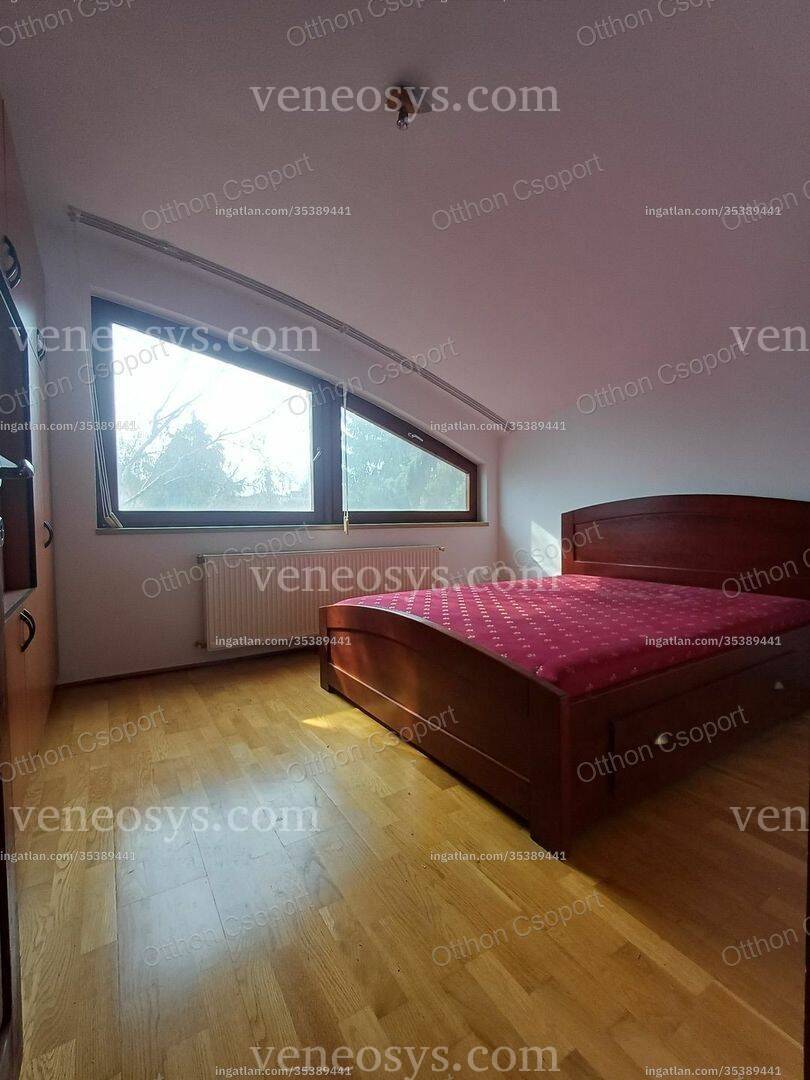 Kép 7