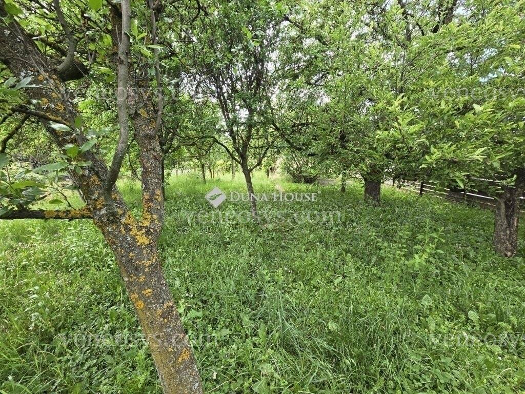 Kép 14