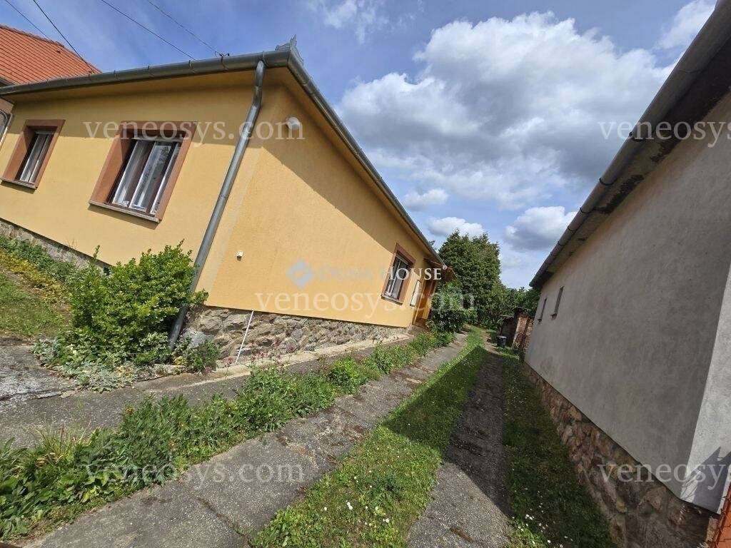 Kép 5