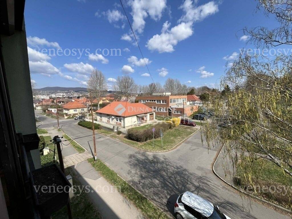 Kép 5