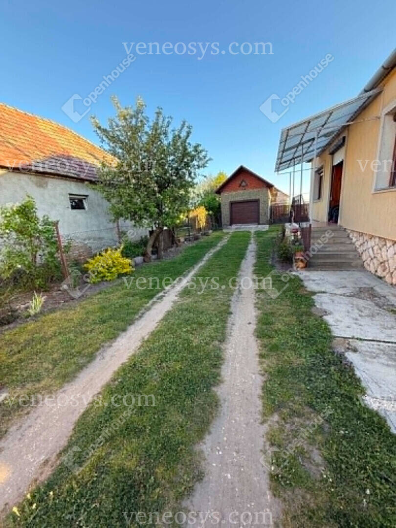 Kép 15