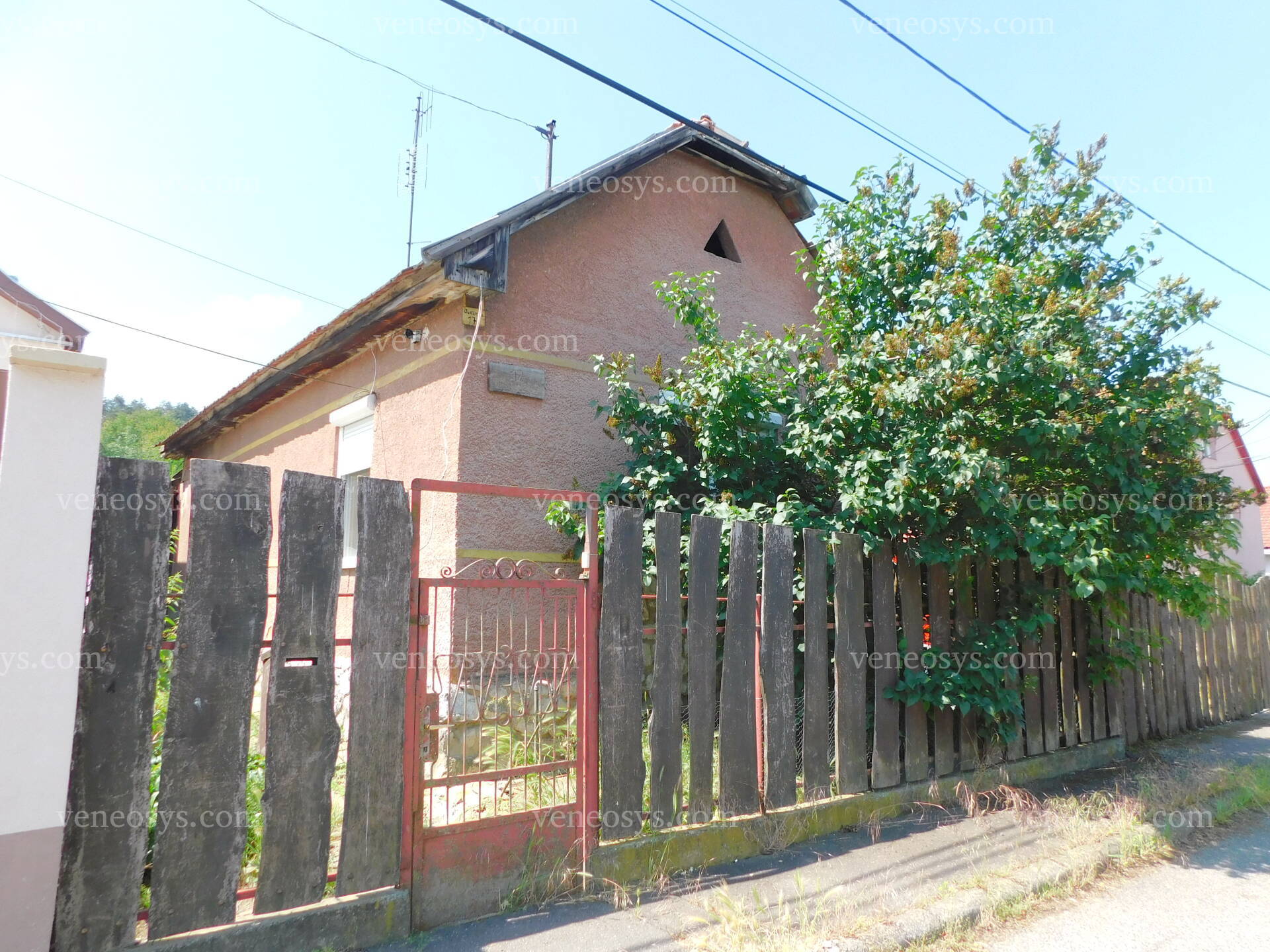 Kép 1