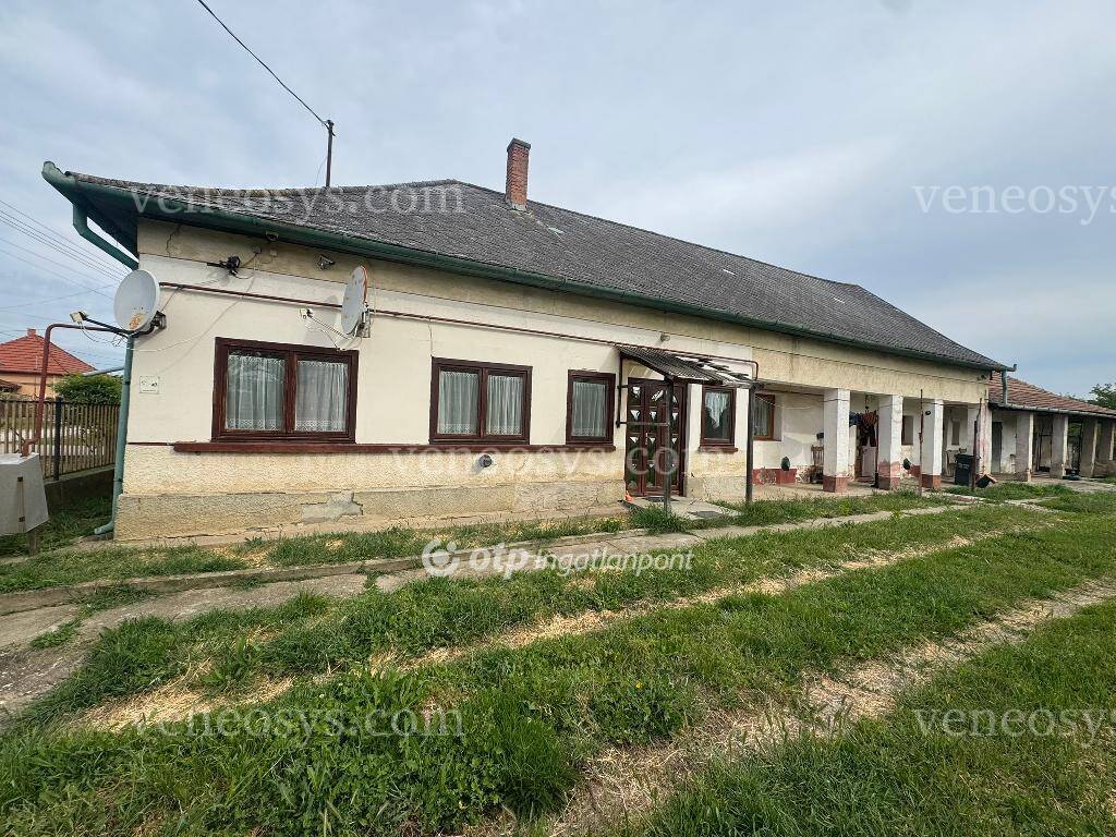 Kép 5