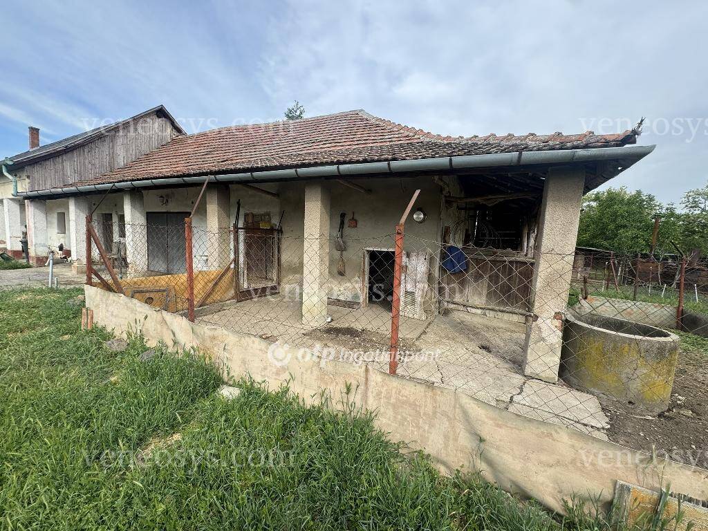 Kép 7