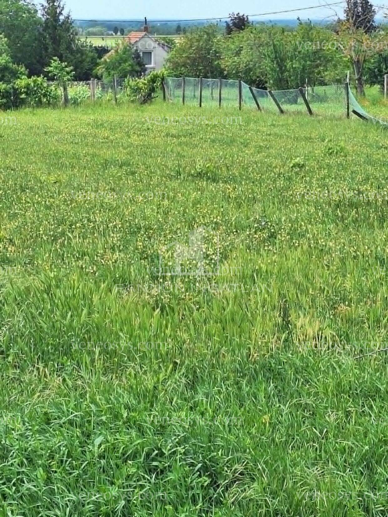 Kép 3
