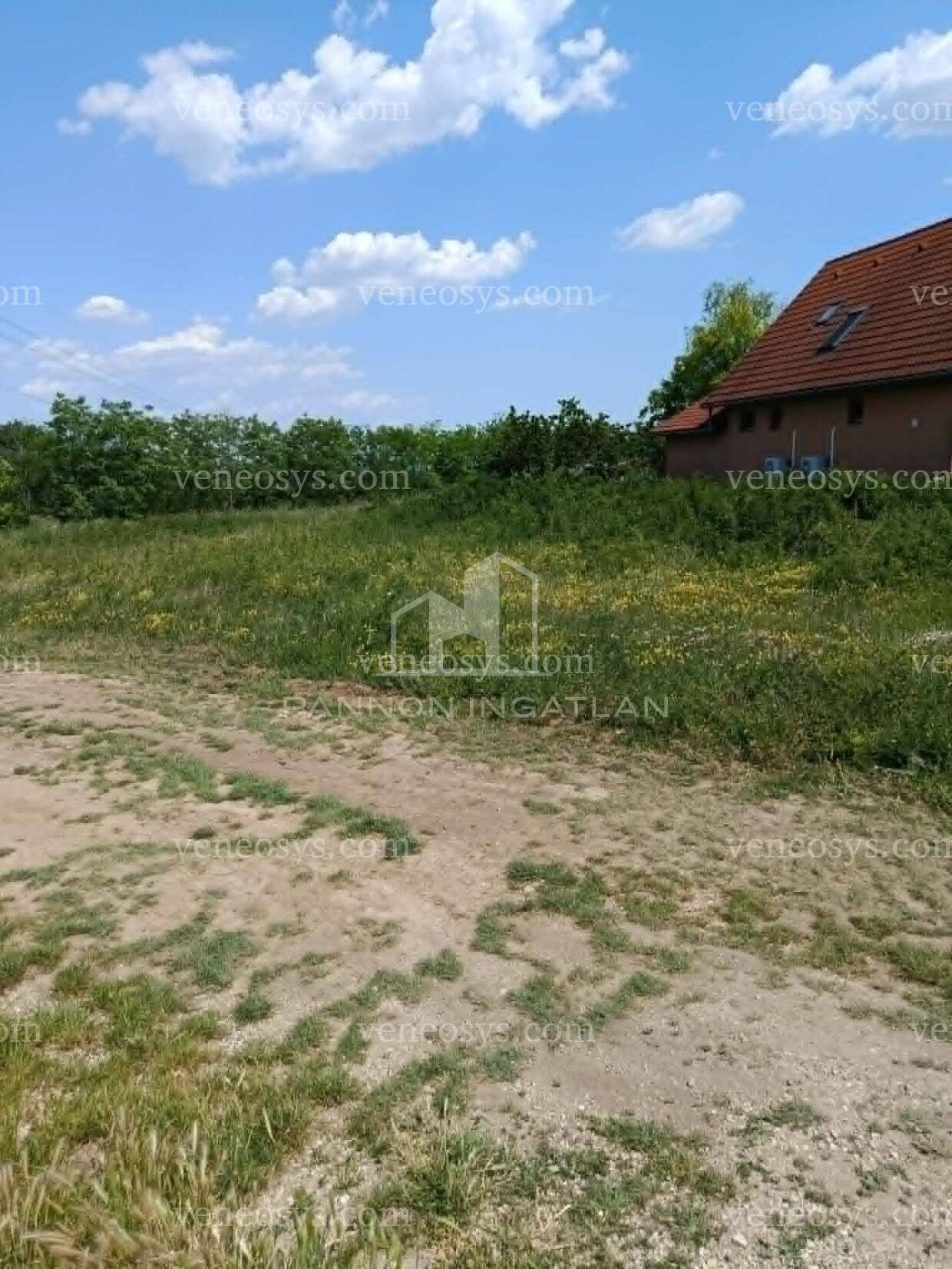 Kép 3