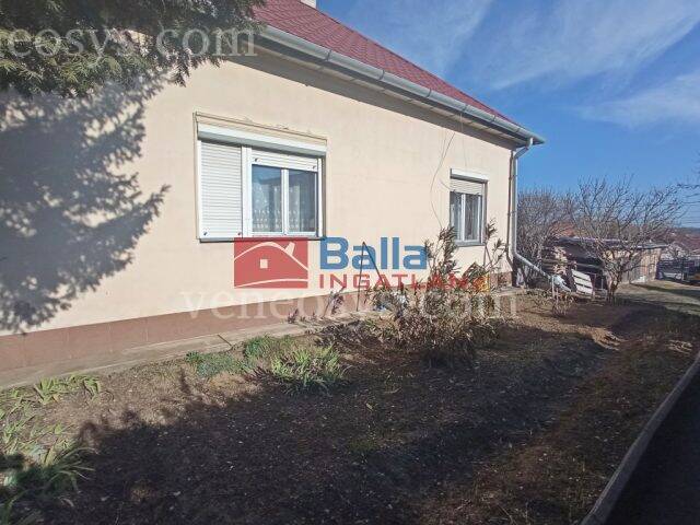 Ingatlan
